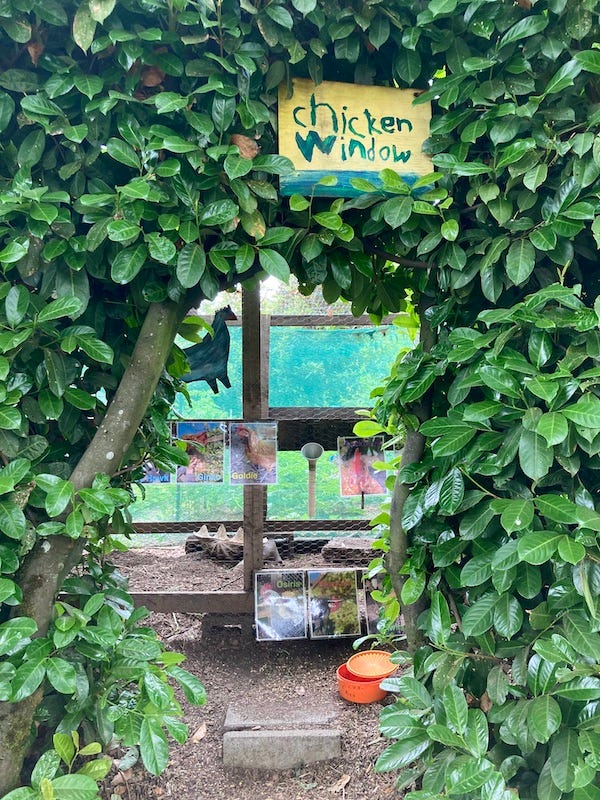 An arch of green leaves frames a peek into a large chicken coop. A handpainted yellow sign reads "Chicken Window." Color photos of hens, labeled with their names, are stuck on the wire.