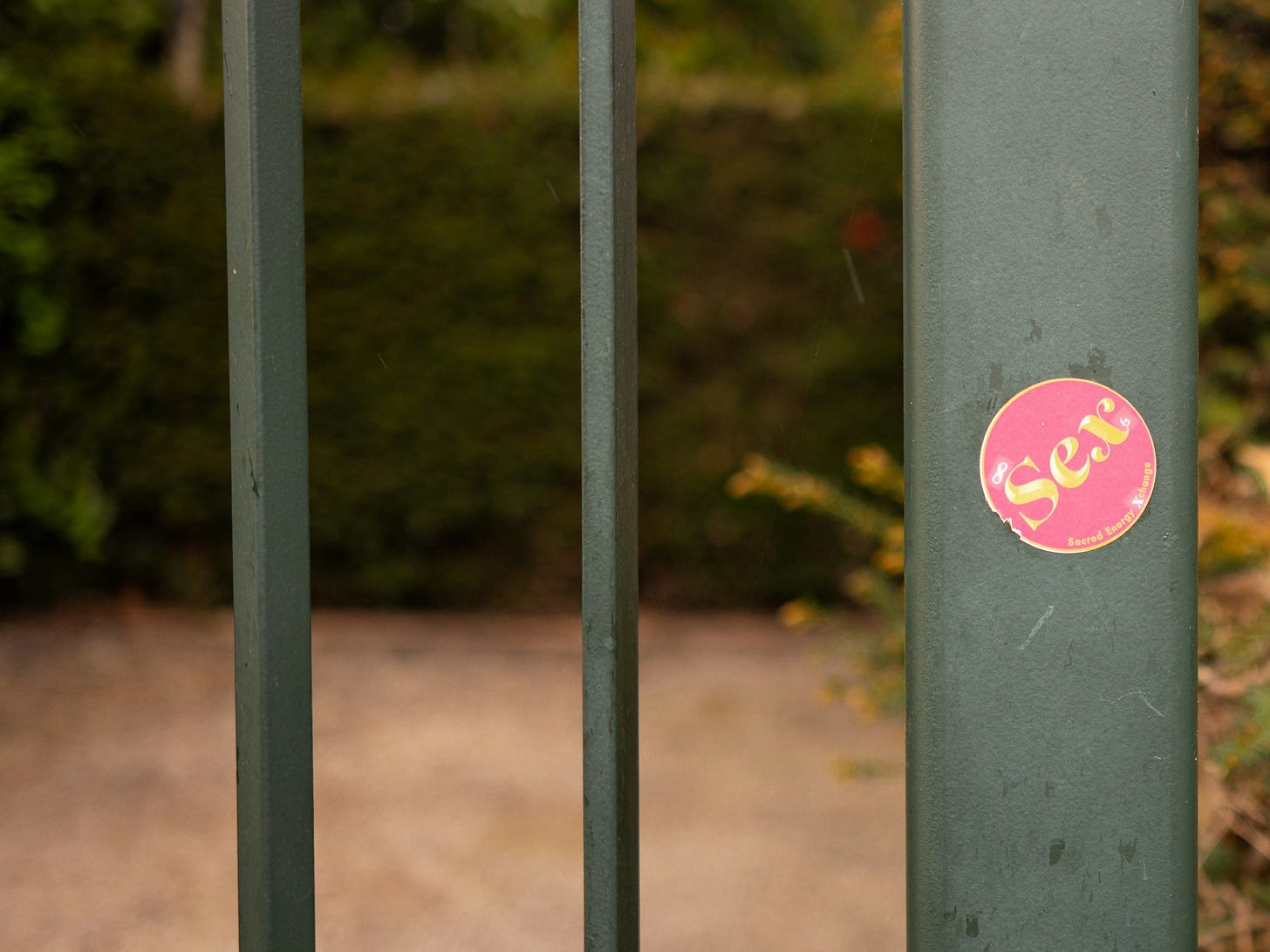 Un adesivo rosa schocking rotondo con al centro la scritta Sex in giallo, incollato su un cancello grigio che dà a un piccolo giardino.