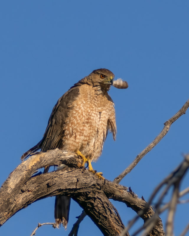 20240517-mby-49-Edit.jpg