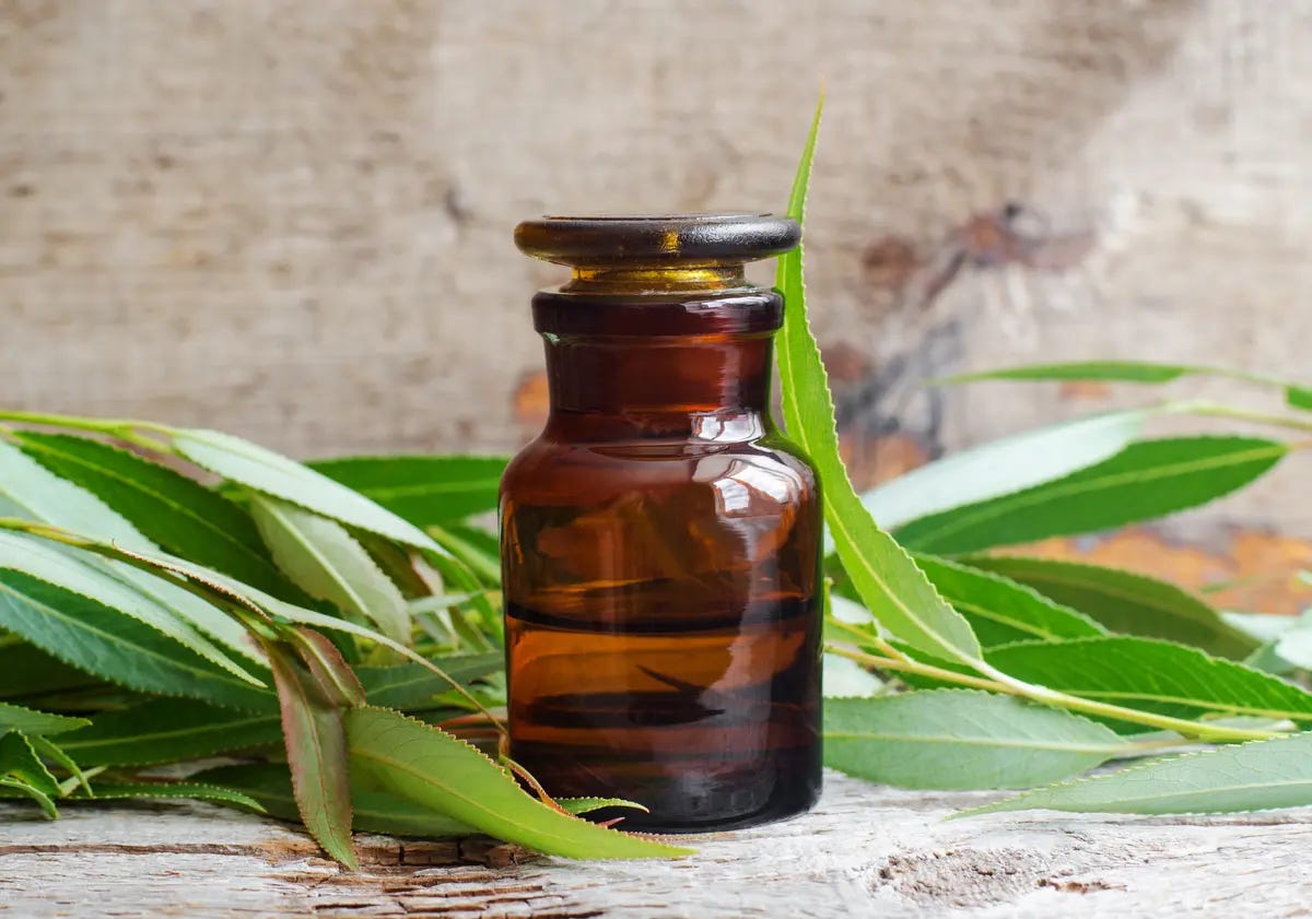 Research: Willow Bark Extract's Potential for Inactivating COVID-19 and Enterovirus