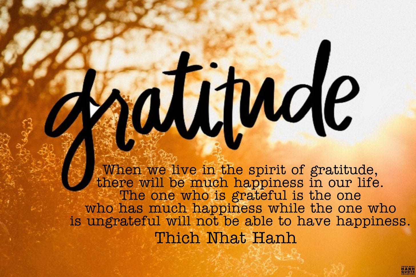 Gratitude – Thich Nhat Hanh | Thich Nhat Hanh Quote Collectiveॐ