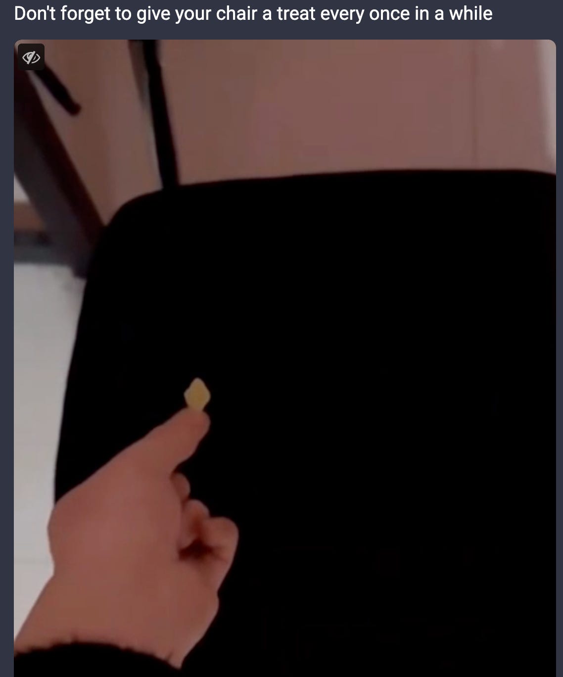 A person giving a treat to their "chair"