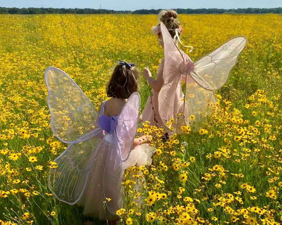 two girls wearing pink and purple dresses with wings two girls wearing pink and purple dresses with wings