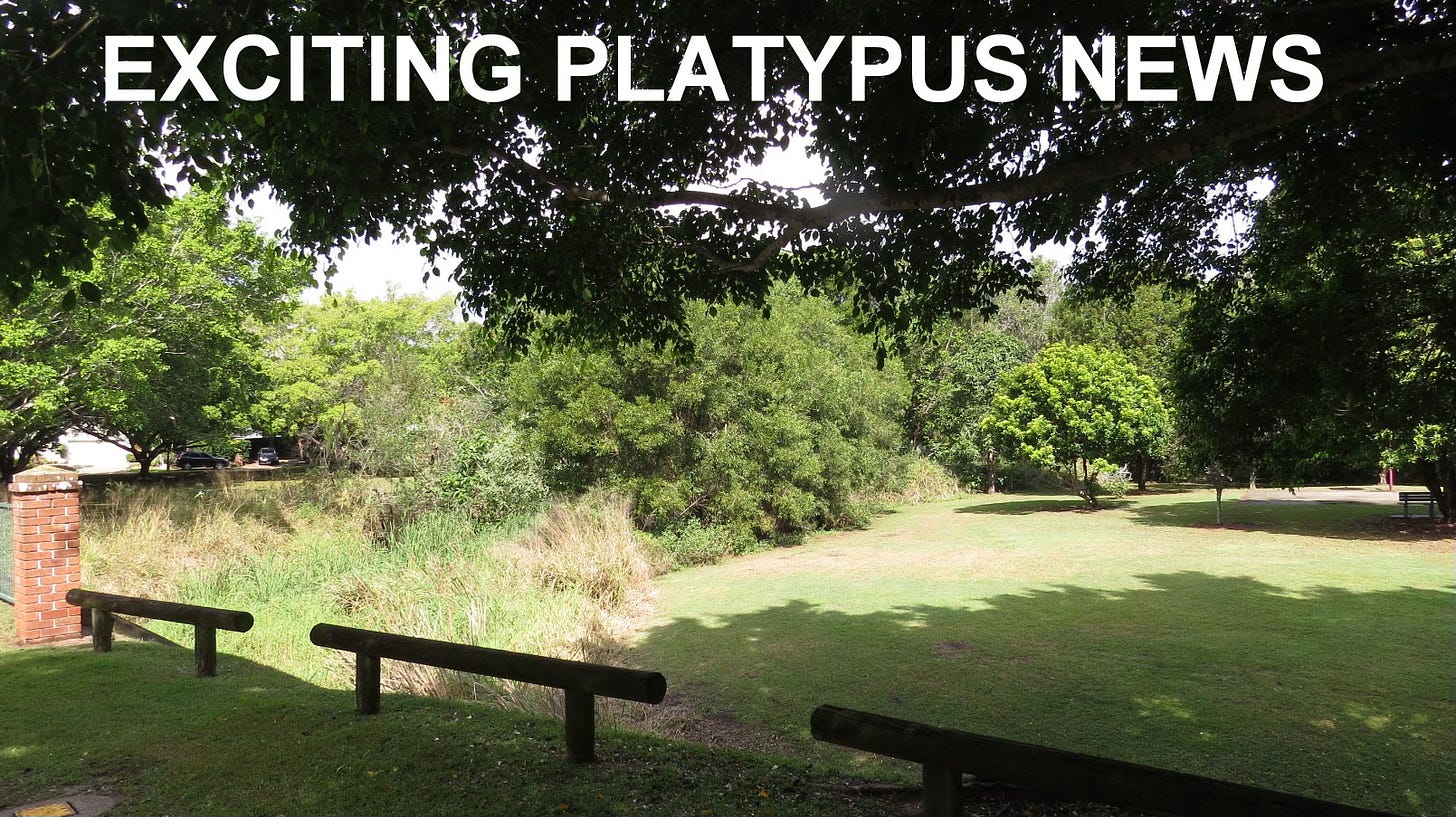 photo of the park at Wendon Way