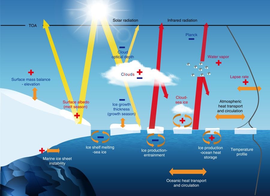 Cryospheric Sciences | Image of the Week – Climate feedbacks demystified in  polar regions