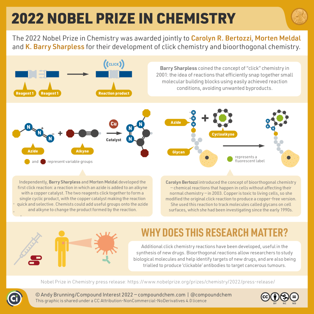 Infographic on the 2022 Nobel Prize in Chemistry, awarded jointly to Carolyn R. Bertozzi, Morten Meldal and K. Barry Sharpless for their development of click chemistry and bioorthogonal chemistry. Click chemistry refers to reactions which efficiently snap together small molecules with simple reaction conditions and no unwanted byproducts. Bioorthogonal chemistry involves chemical reactions which happen in cells without affecting their normal chemistry. The graphic shows a classic example of a click chemistry reaction involving the cycloaddition of an azide and an alkyne using a copper catalyst, and also how this was adapted for use in living organisms by removing the copper catalyst and replacing the alkyne with a cycloalkyne.
