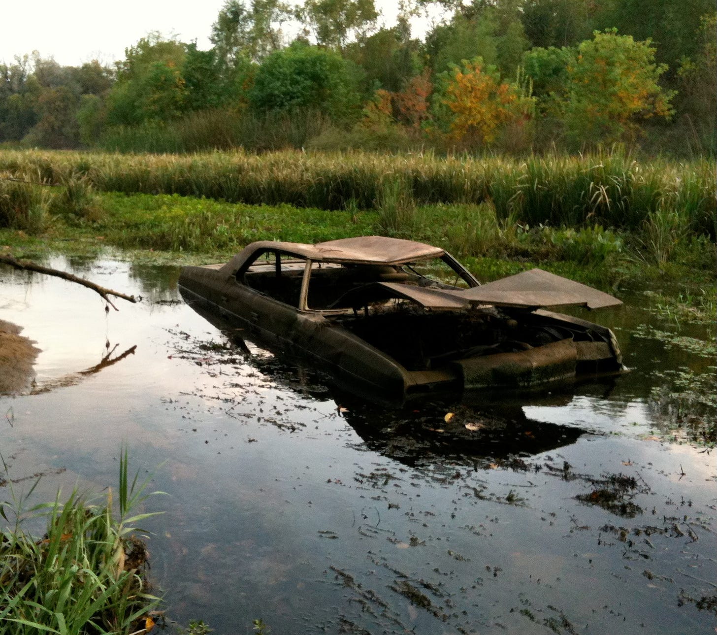 Chevy Impala in wetland