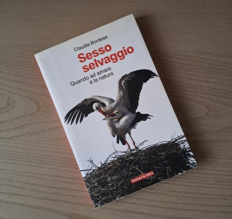Libro intitolato "Sesso selvaggio. Quando ad amare è la natura" poggiato su una superficie in legno, color tortora. La copertina del libro è bianca, il titolo è rosso, il sottotitolo è nero e al centro è raffigurata una coppia di cicogne nel nido.