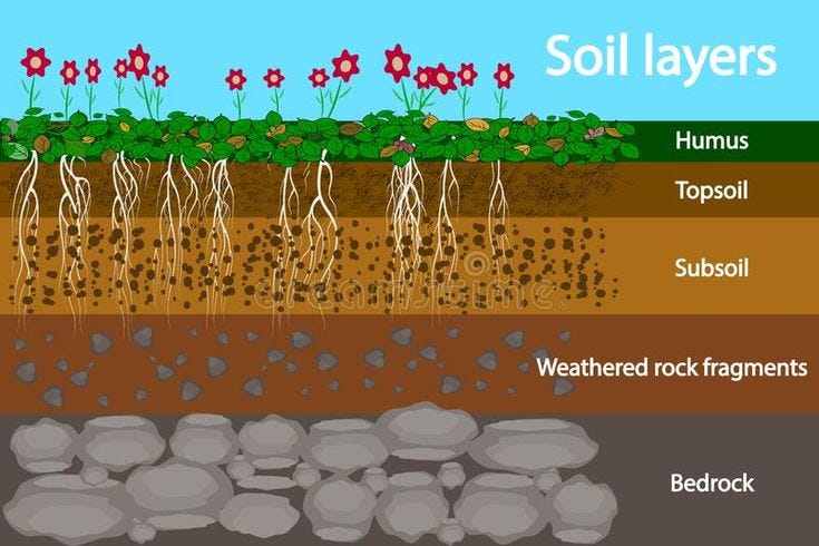 Soil Layers. Diagram for Layer of Soil. Soil Layer Scheme with Grass and  Roots, Earth Texture and Stones Stock Vector - Illustra… | Soil layers,  Earth texture, Soil