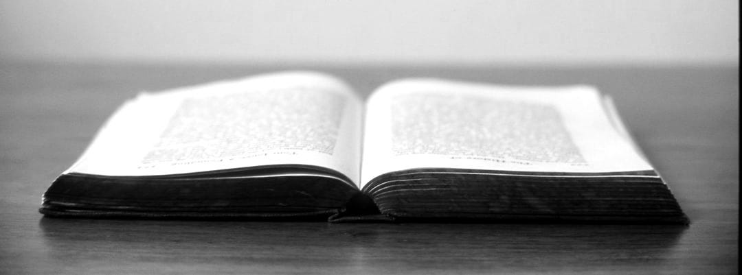 opened book opened book