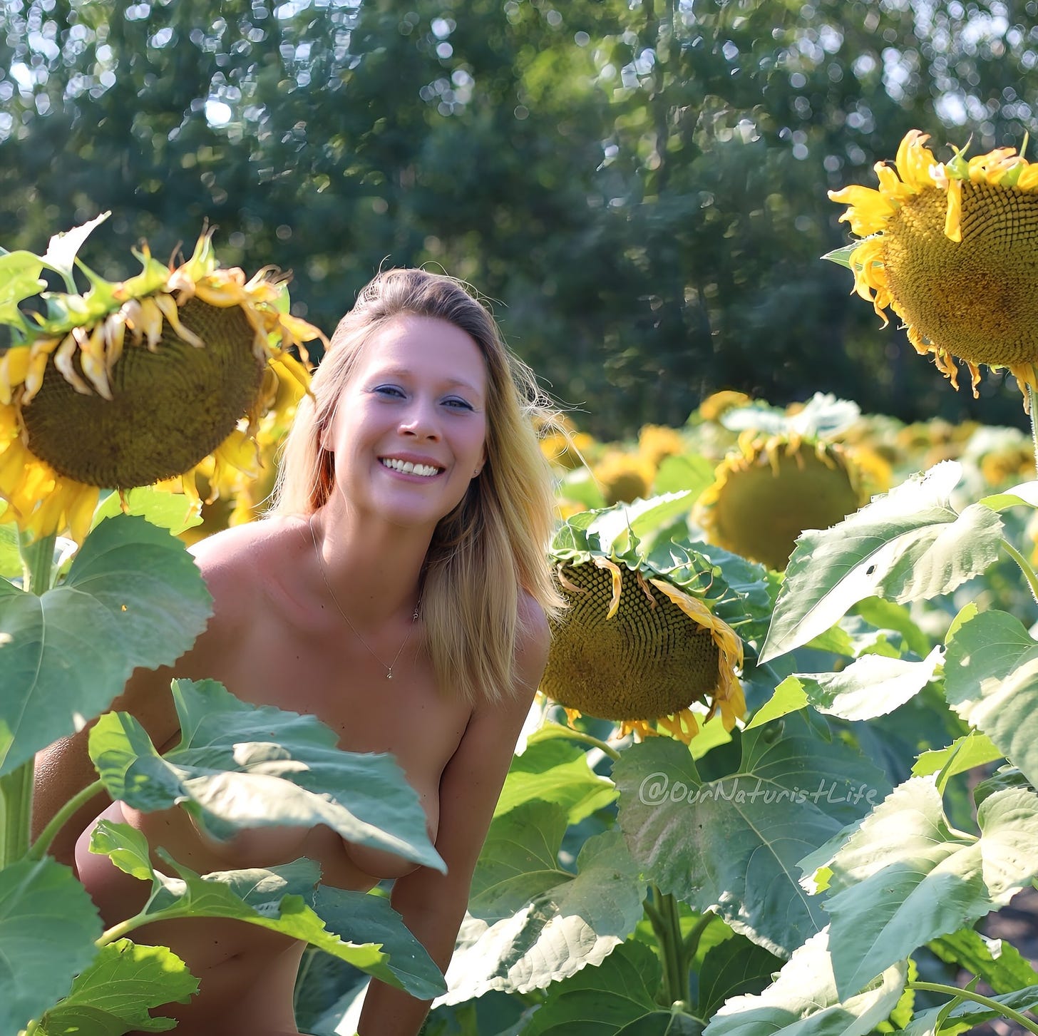 Photo of Corin in a sunflower field supplied by and used with the kind permission of Kevin and Corin at OurNaturistLife: