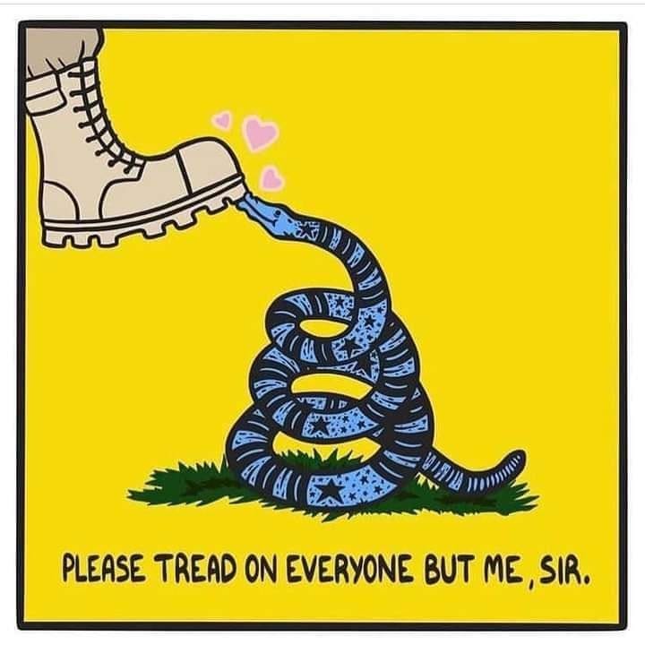 Please Tread on Everyone But Me, Sir | Gadsden Flag / Don't Tread On Me ...
