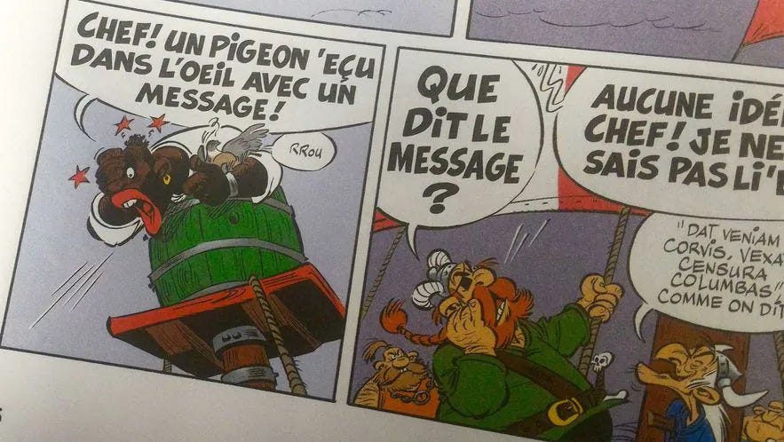 hune pirate noir astérix
