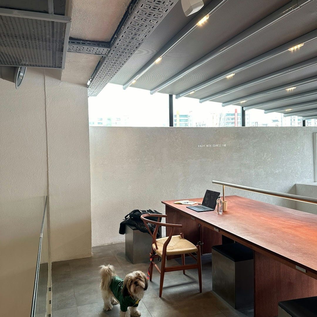 a dog standing in a room with a desk and chair