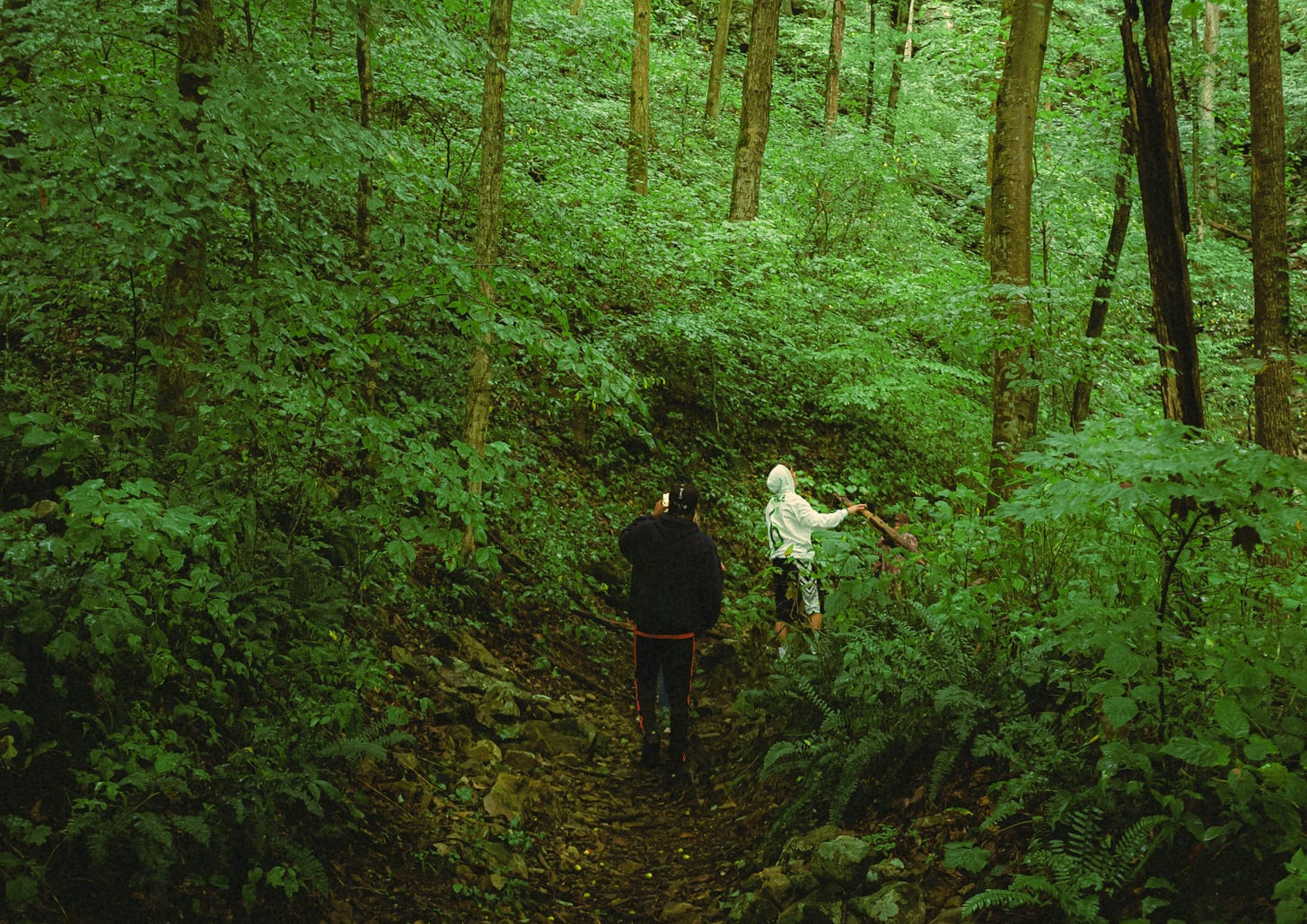 a man walking through a lush green forest a man walking through a lush green forest