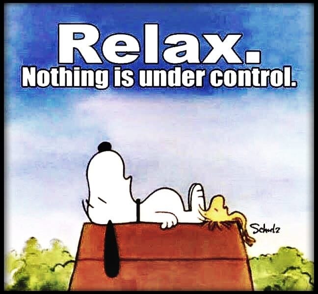 365685-Relax.-Nothing-Is-Under-Control