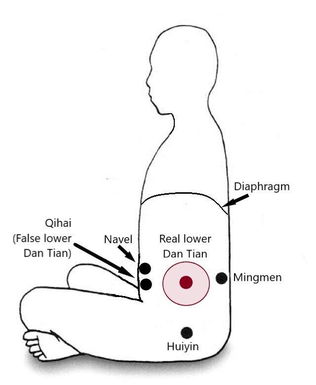 Reverse Abdominal Breathing - Qigong & Neigong — Water Dragon Arts