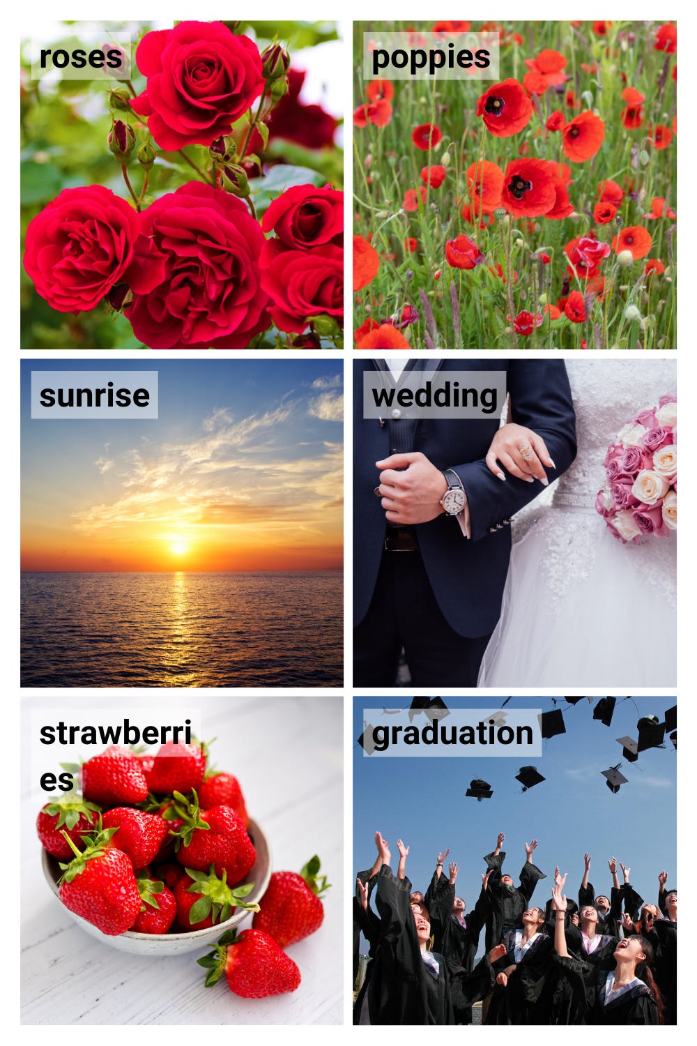 June vocabulary: roses, poppies, sunset, wedding, strawberries, graduation