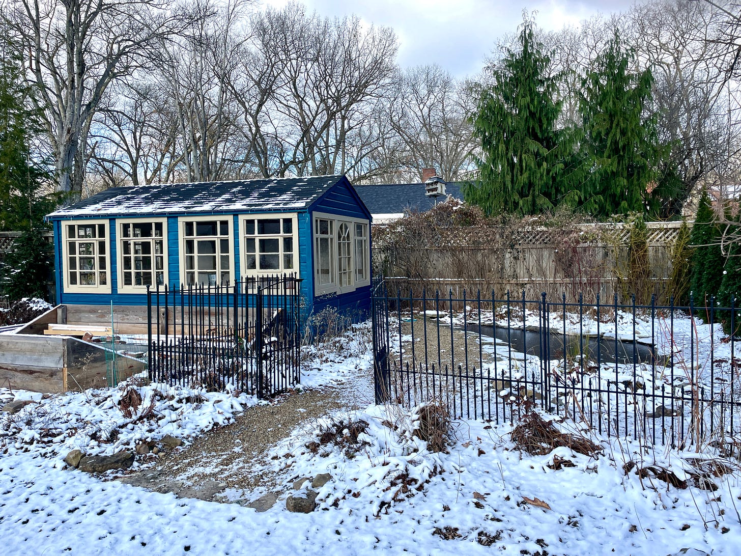 The Potting Shed near the pond and a borrowed view of our neighbor’s Weeping Alaskan Cedars. 