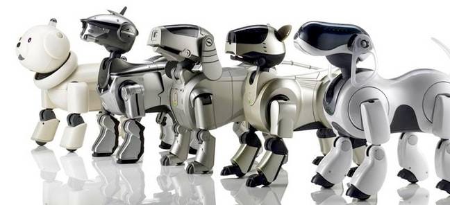 Photo of the various versions of Sony's Aibo robot dog.