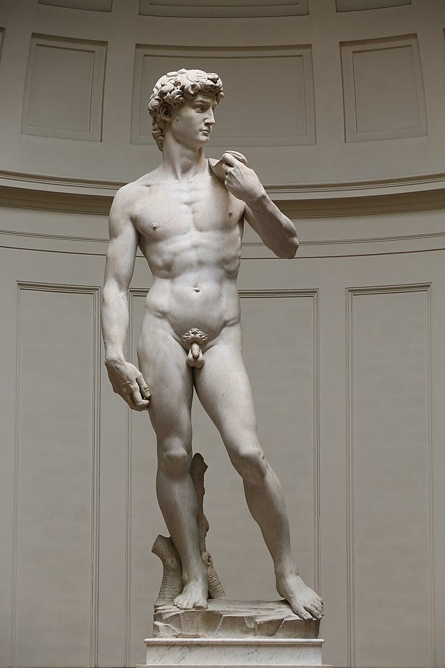 David (Michelangelo) - Wikipedia