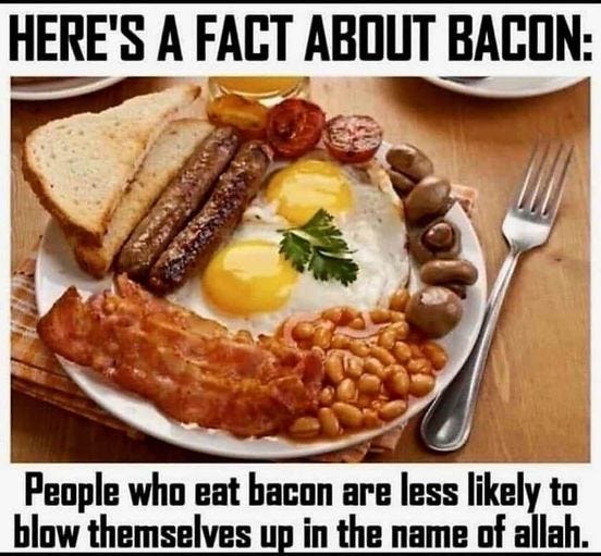 May be an image of text that says 'HERE'S A FACT ABOUT BACON: People who eat bacon are less likely to blow themselves up in the name of allah.'