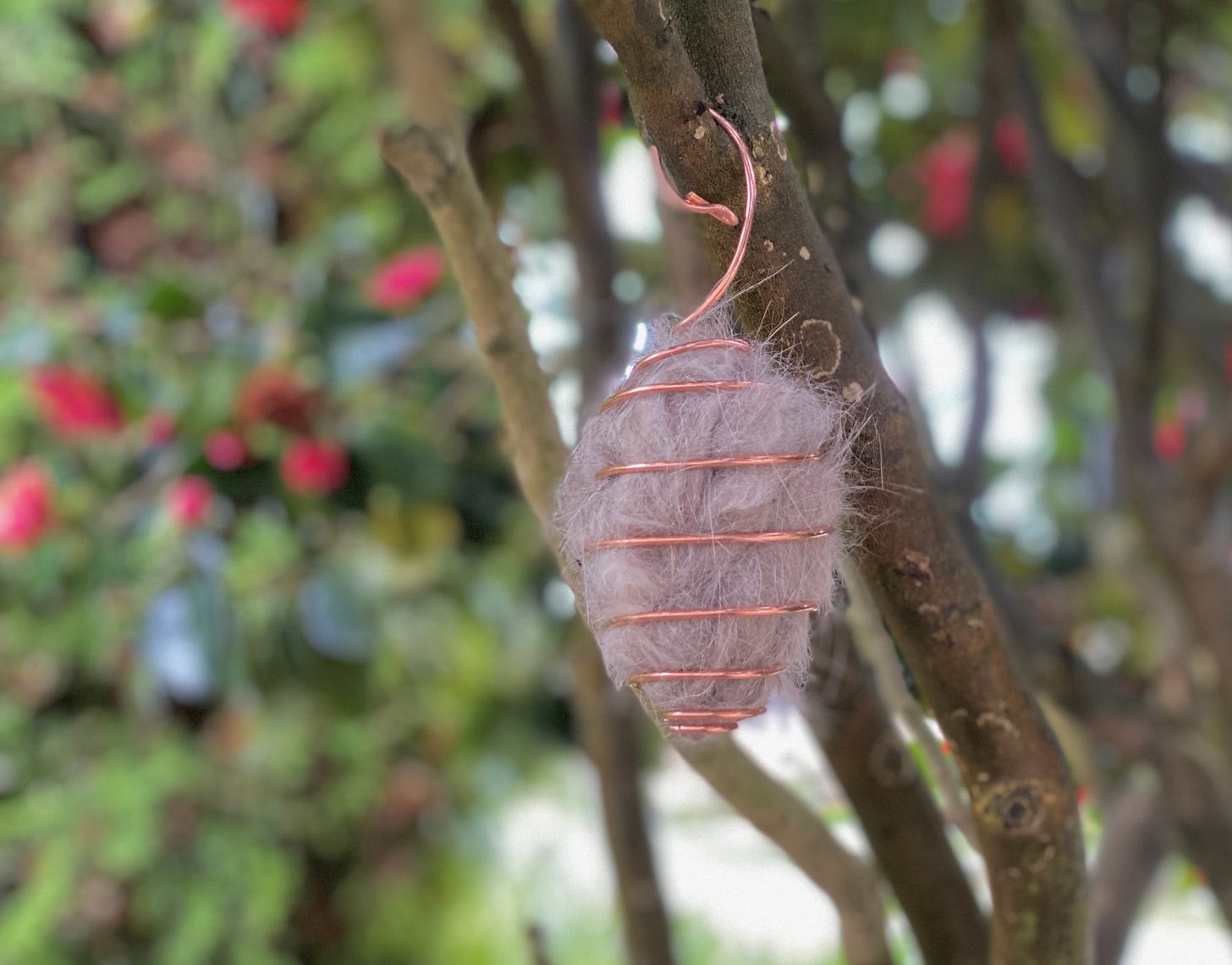 spiral shaped hanger on a tree branch with cat fur inside