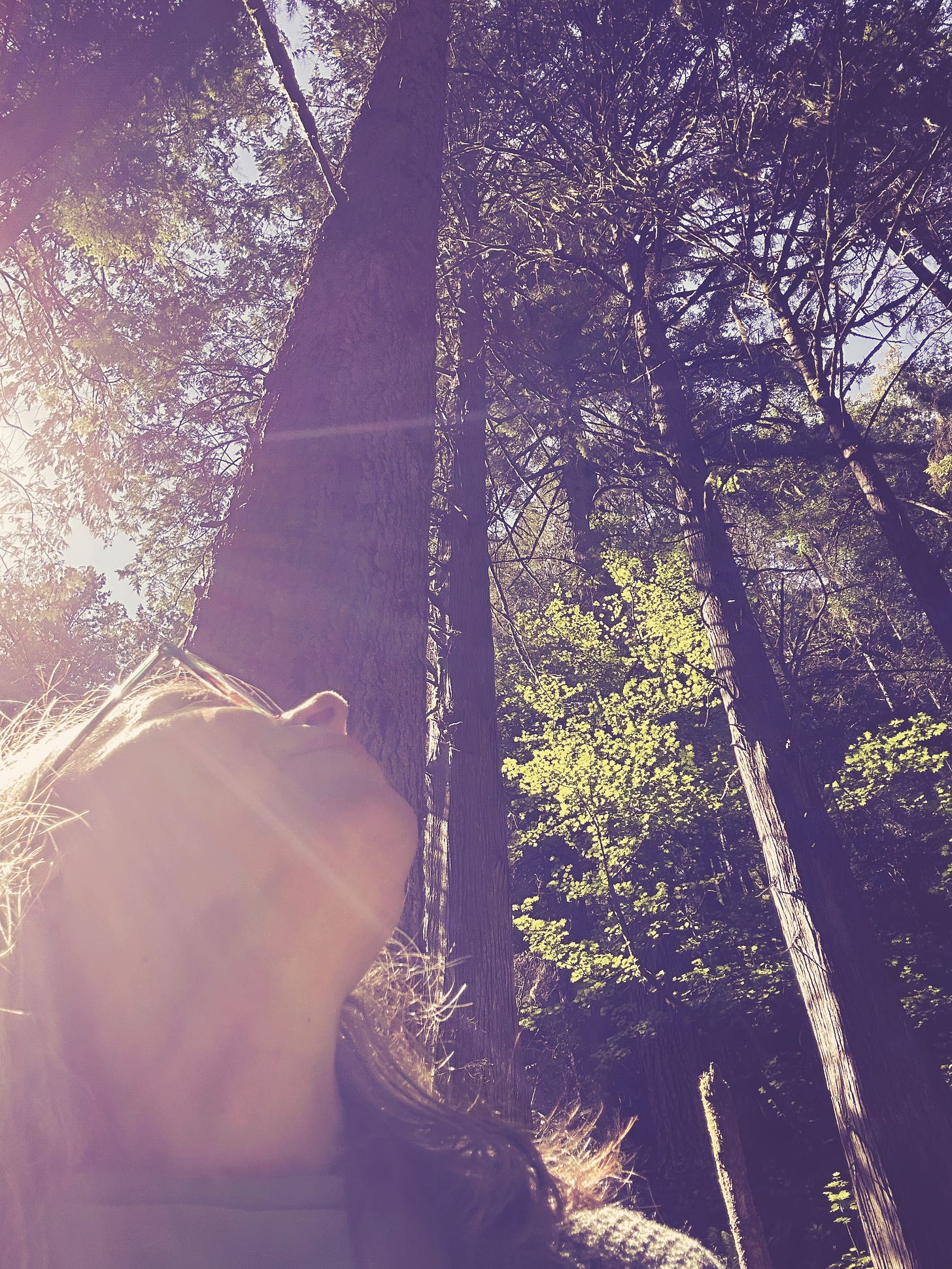 woman in Pacific Rainforest