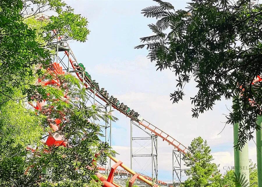 kings dominion anaconda roller coaster