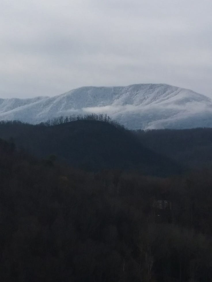 20180114_104018.jpg