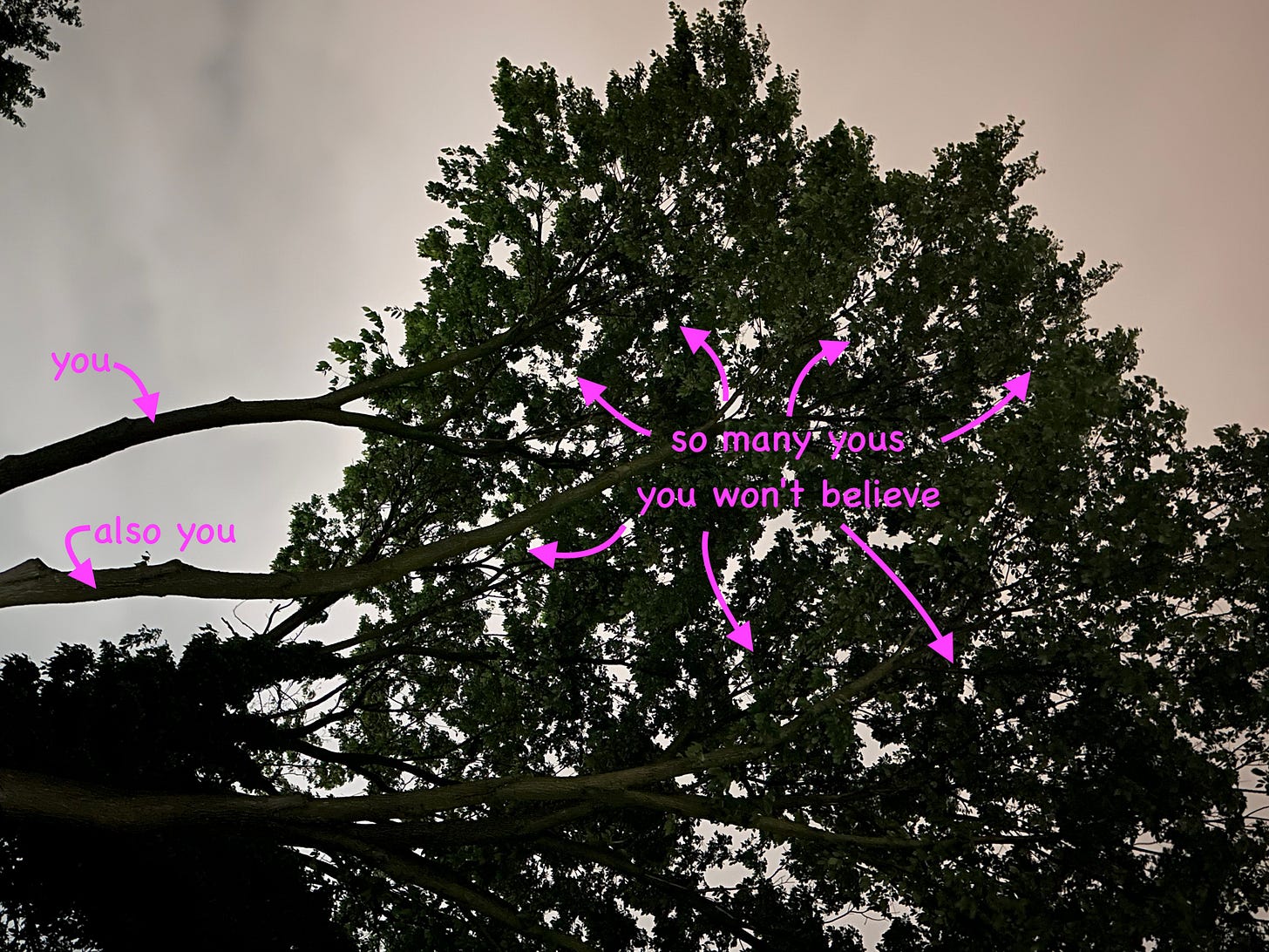 a tree, turned sideways. it has three trunks. one is labeled YOU. a second is labeled ALSO YOU. Various leaves are also pointed out, and collectively labeled SO MANY YOUS YOU WON'T BELIEVE