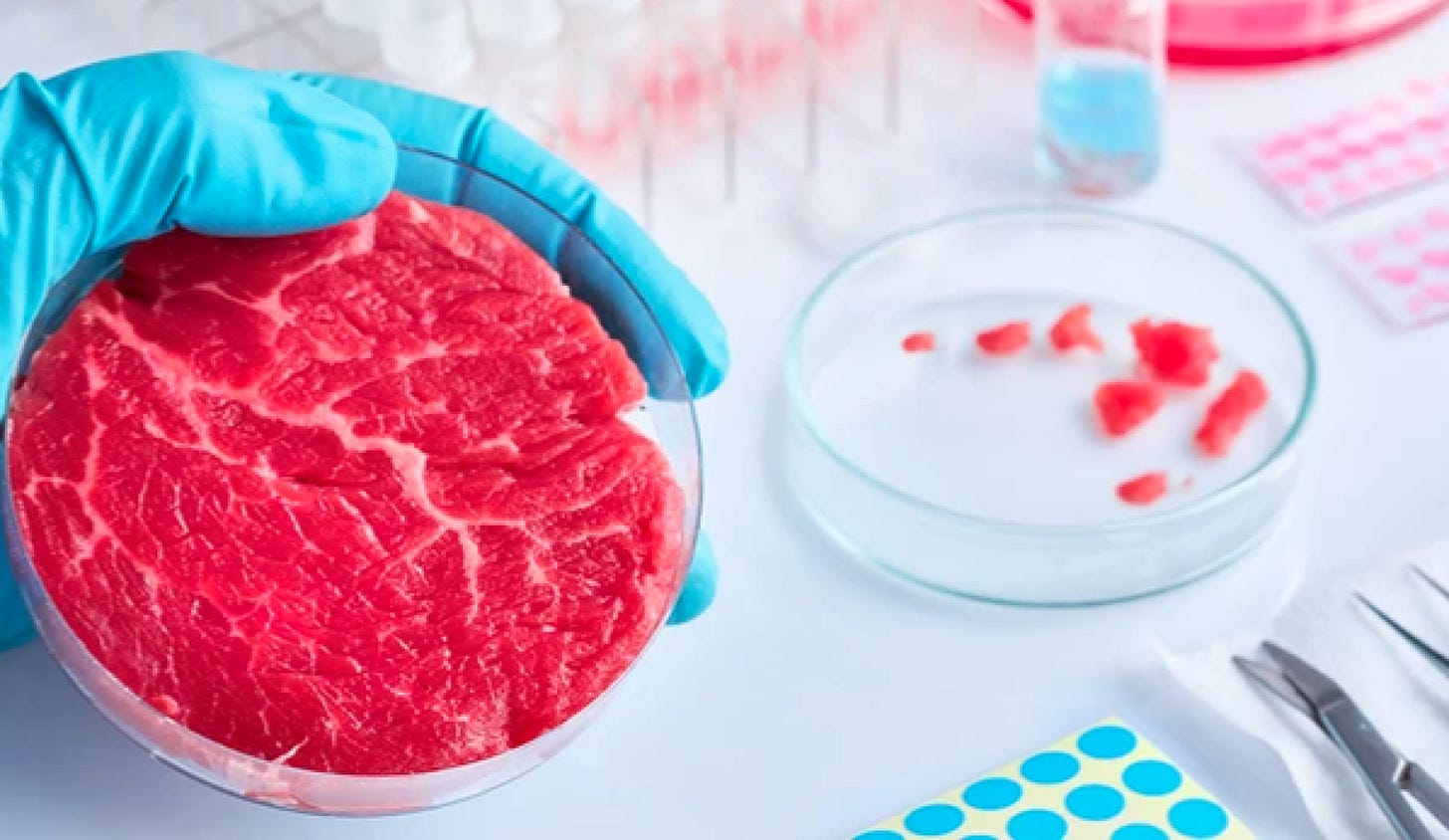 Lab Grown Meat - An Emerging Industry | Environmental Center | University  of Colorado Boulder