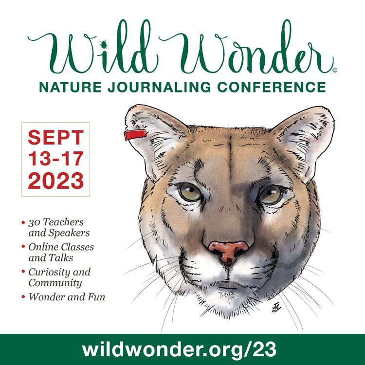 wild wonder foundation nature journaling conference 2023