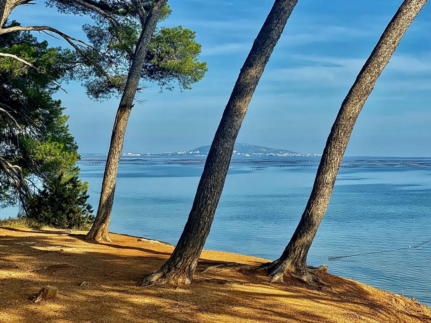 On fait le tour de l’Hérault en bikepacking ? On fait le tour de l’Hérault en bikepacking ?