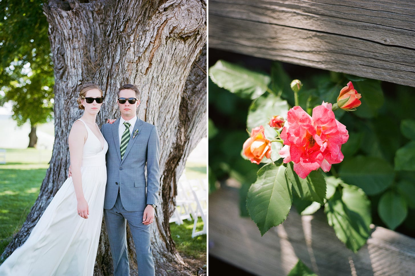A photo diptych from my friend's wedding, with the bride and groom alongside a photo of a flower