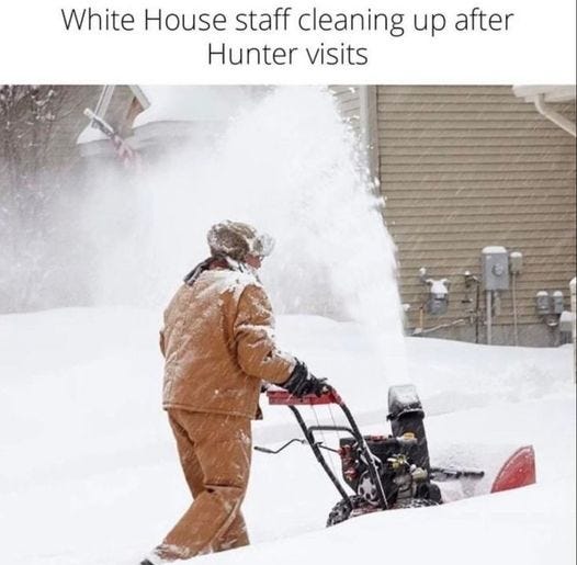 May be an image of 1 person and text that says 'White House staff cleaning up after Hunter visits'