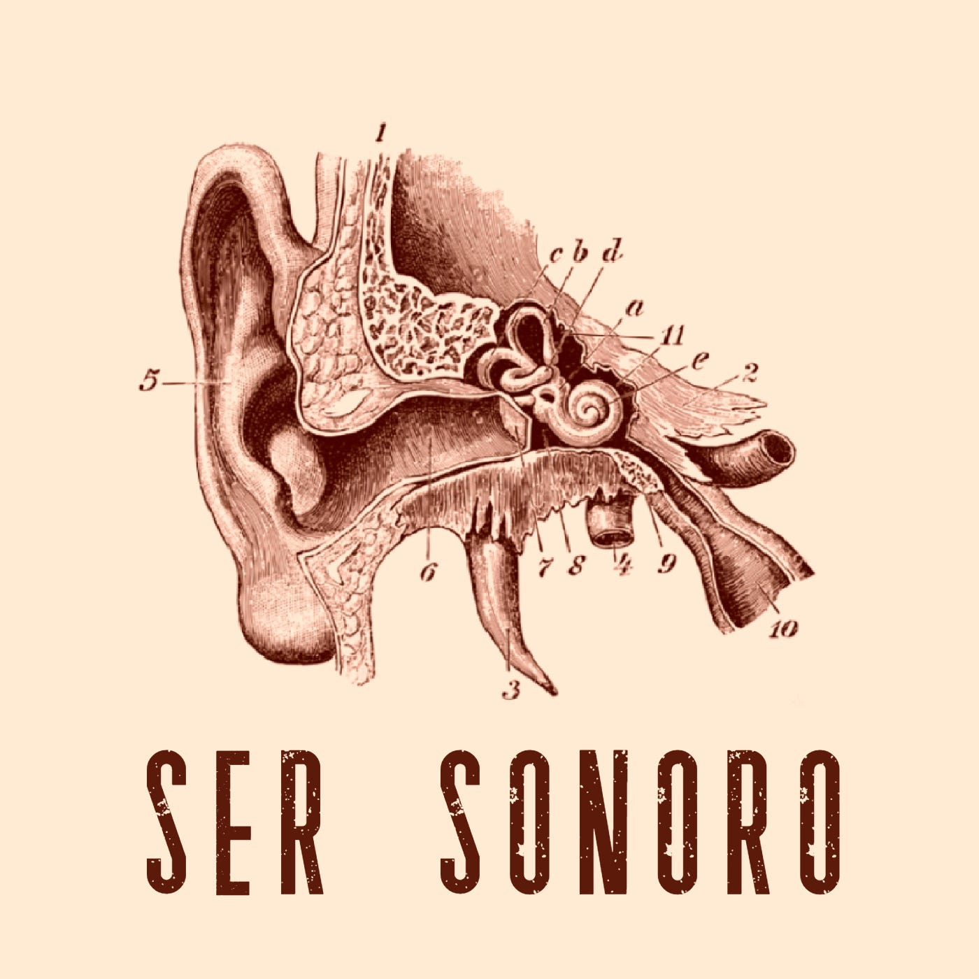 Ser Sonoro – Sons, músicas e o mundo da escuta