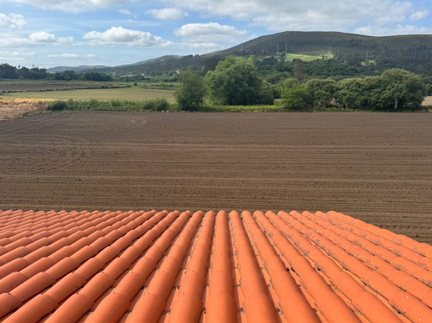 A roof of a house with a field and trees in the background

Description automatically generated