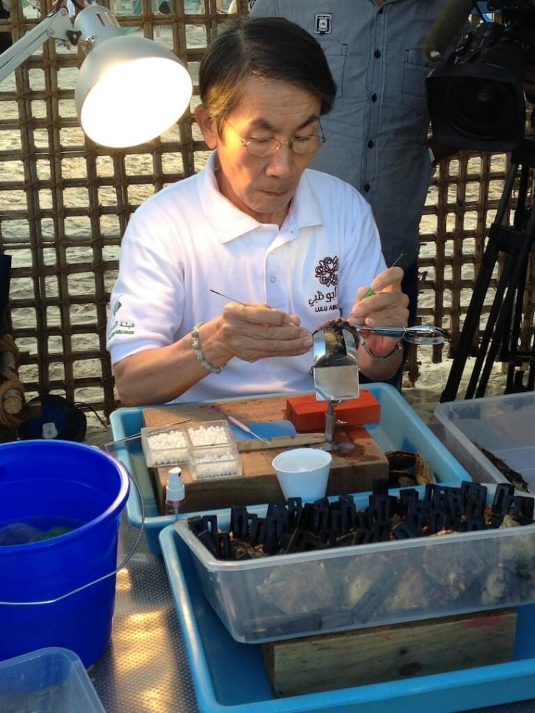 Oyster culturing