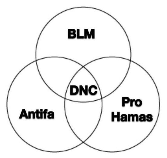 May be an image of text that says 'BLM DNC Antifa Pro Hamas'