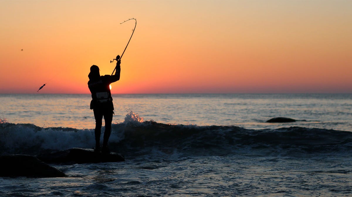 Surf fishing the fall migration at the end of the season - Anglers Journal  - A Fishing Life