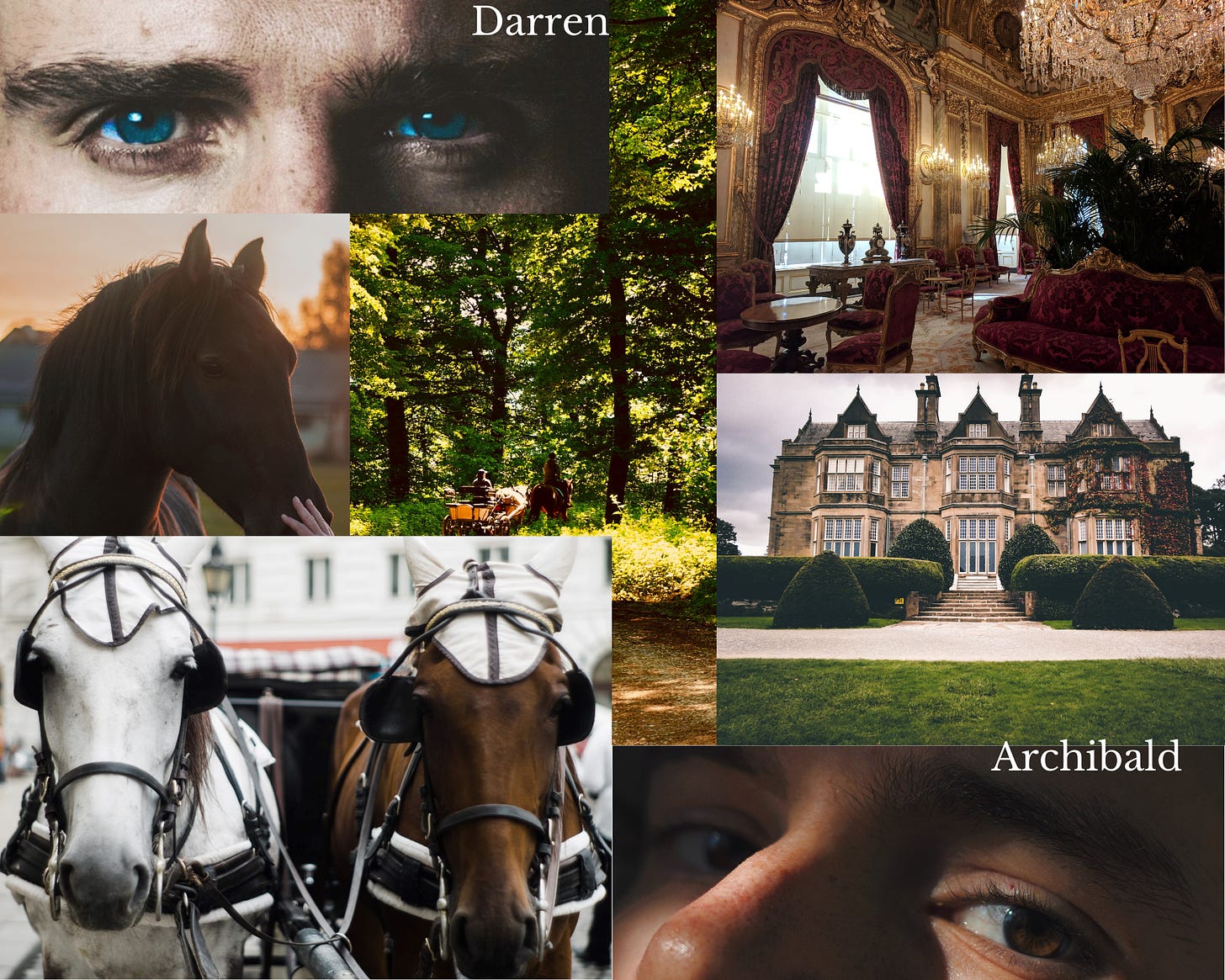 pic collage for my book set in19th century England. On a forest path background top right a man's blue eyes, a black horse, two horses in a carriage, an elegant living room, a mansion a man's brown eyes. the characters are Archie and Darren.