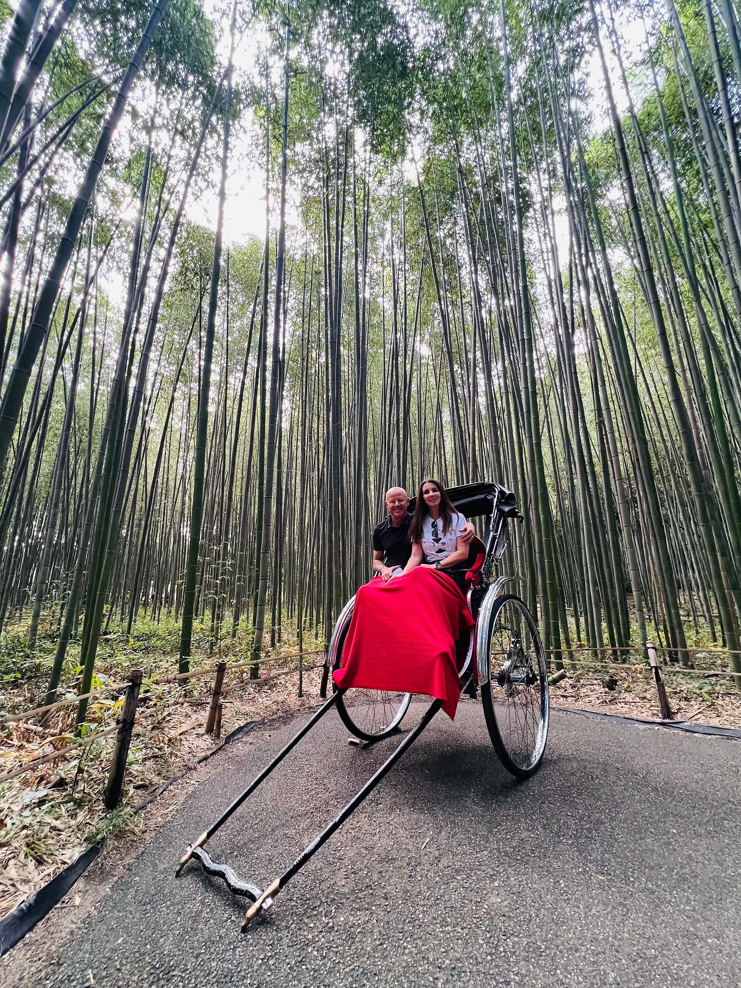 Arashiyama rickshaw bamboo forest: Shannon Watts
