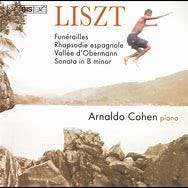 Image result for liszt arnaldo cohen