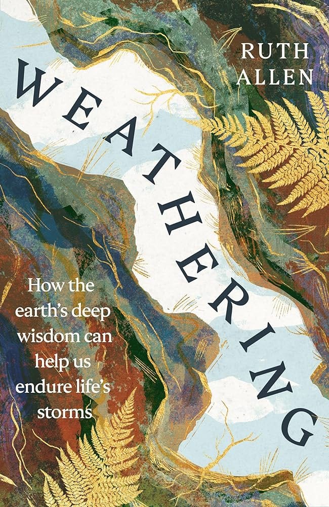 Weathering: Amazon.co.uk: Allen, Ruth: 9781529902631: Books