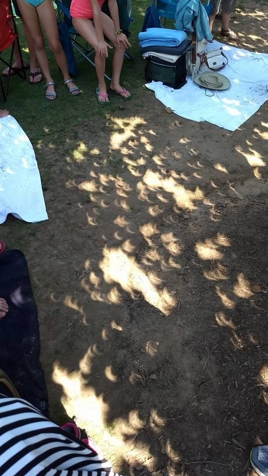 May be an image of 3 people, eclipse and picnic