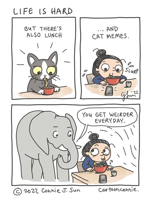 Lunch and Cat Memes 3-panel comic of a girl slurping noodles. In panel 1, a cute cartoon cat slurps noodles from a red bowl. In panel 2, a girl with a bun also slurps a bowl of noodles without utensils, like the cat. She's also looking at her phone. Text reads: "Life is hard...but there's also lunch...and cat memes." In panel 3, an elephant appears behind her and observes, "You get weirder everyday." Webcomic by Connie Sun, cartoonconnie, 2022."