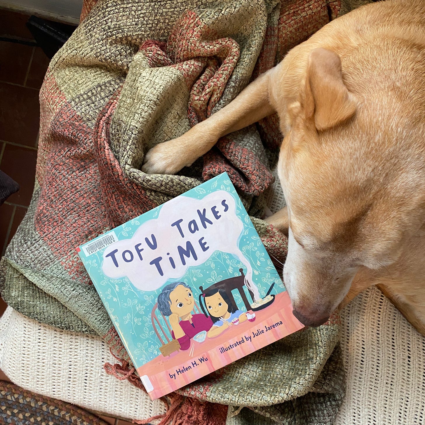 This book lies on a blanket on a couch between my dog’s paws; her nose is partially covering the book’s cover.