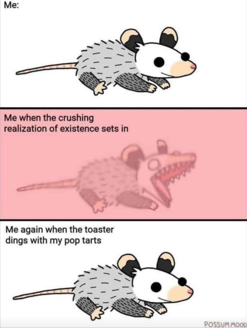 Me: a tiny happy possum 
Me when the crushing realization of existence sets in: angry screaming possum
Me again when the toaster dings with my pop tarts: tiny happy possum  
Cartoon By POSSUM MOOD