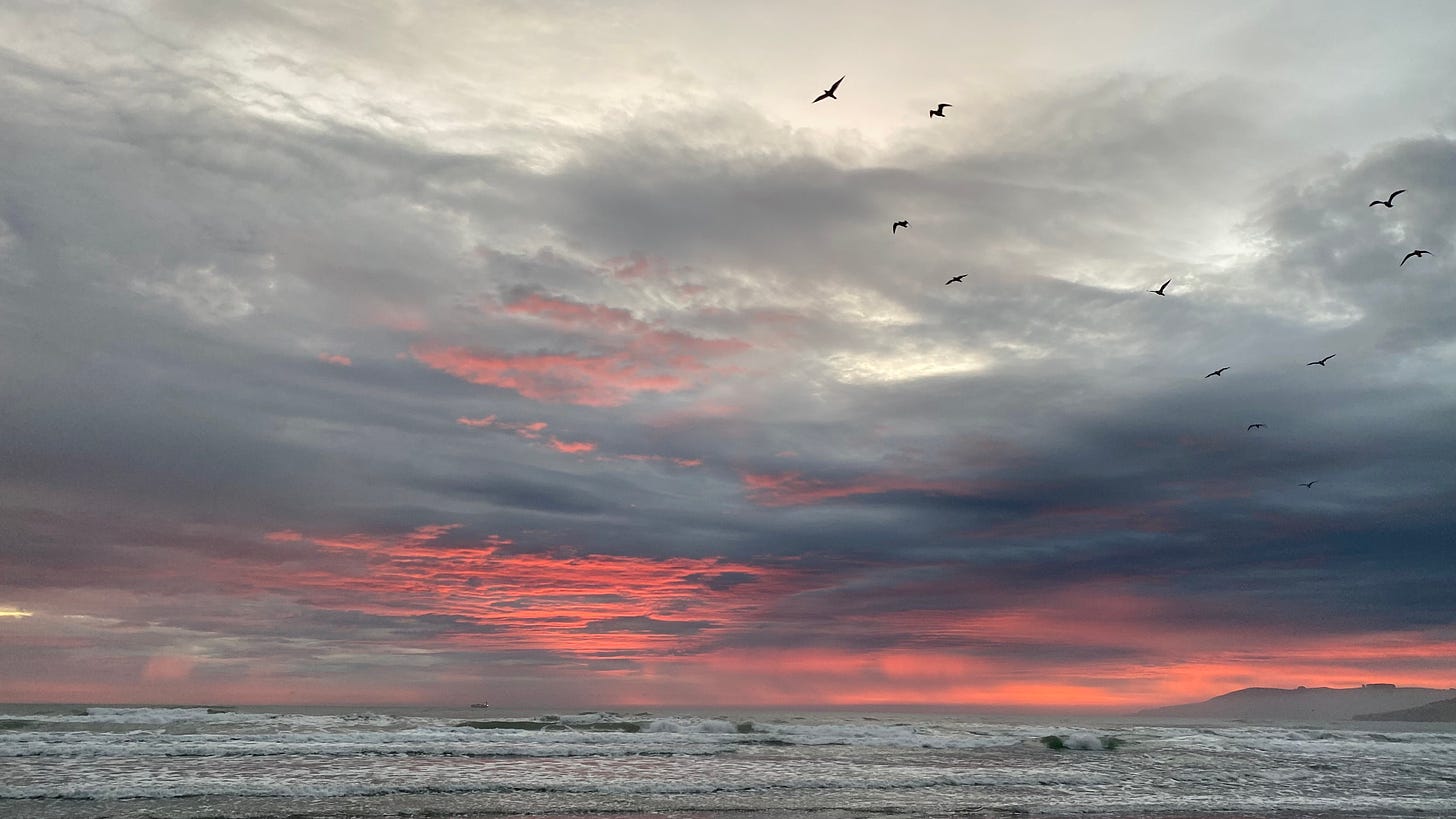 The beach at sunrise. Gray clouds with bright pinky orange highlights, and a flock of birds flying overhead.